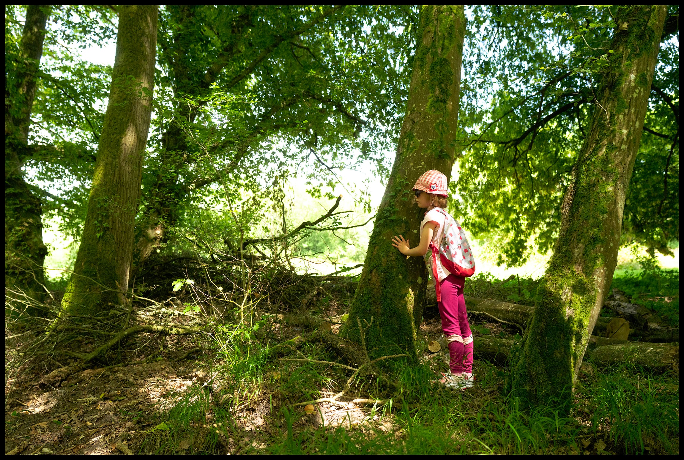 Auprès de mon arbre (c) Ludovic festival des forêts